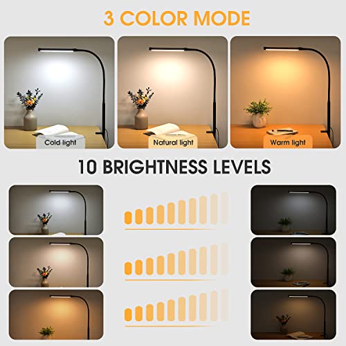 Modern Voncerus LED Desk Lamp with Clamp, Eye-Caring Clip on Lights for Daily Use